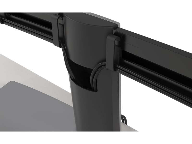 Amazon.com: Dell Dual Monitor Stand – MDS19, Black : Electronics