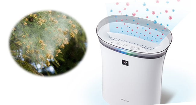 Amazon.co.jp: シャープ 空気清浄機 プラズマクラスター 7000