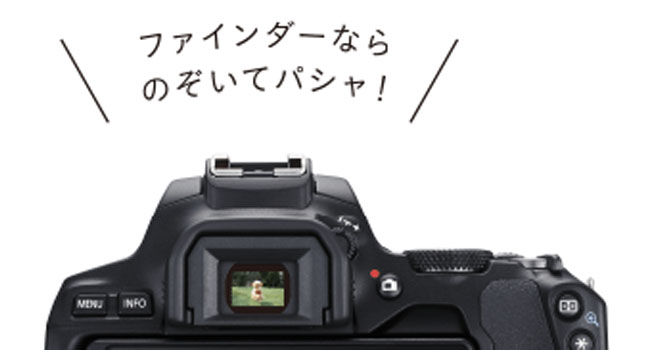 Amazon | Canon デジタル一眼レフカメラ EOS Kiss X10 標準ズーム