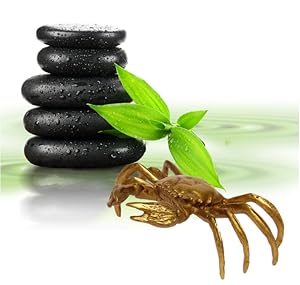 Amazon.co.jp: （イスイ）YISHUI 風水グッズ お金のカニ 銅製のカニ 蟹