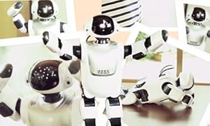 Amazon | Palmi(パルミー) 二足歩行 コミュニケーション ロボット