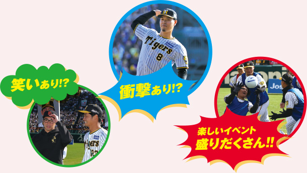 ファン感謝デー2025」開催｜阪神タイガース 公式サイト