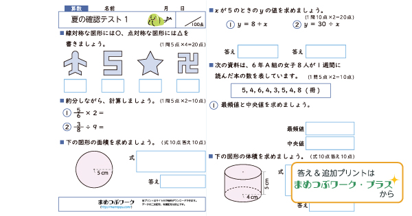 1枚で総復習！小6・算数【夏の確認テスト】(全2枚) | まめつぶワーク