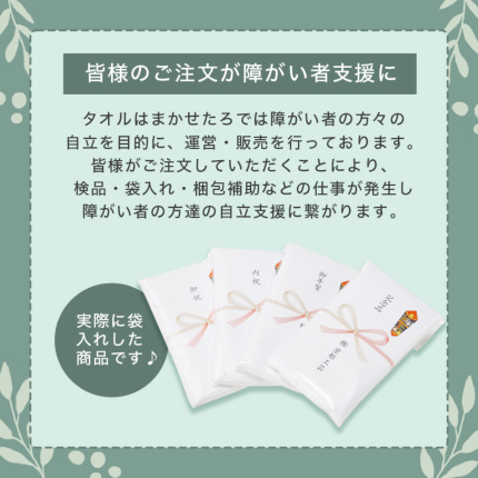 赤タオルセット（ミニ）今治タオル-タオルはまかせたろ.com [タオルギフト]