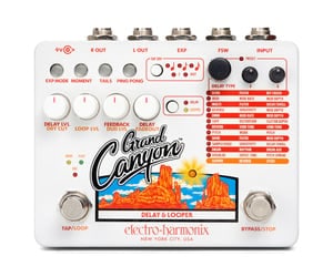 Electro Harmonix / GRAND CANYON Delay & Looper エレクトロ