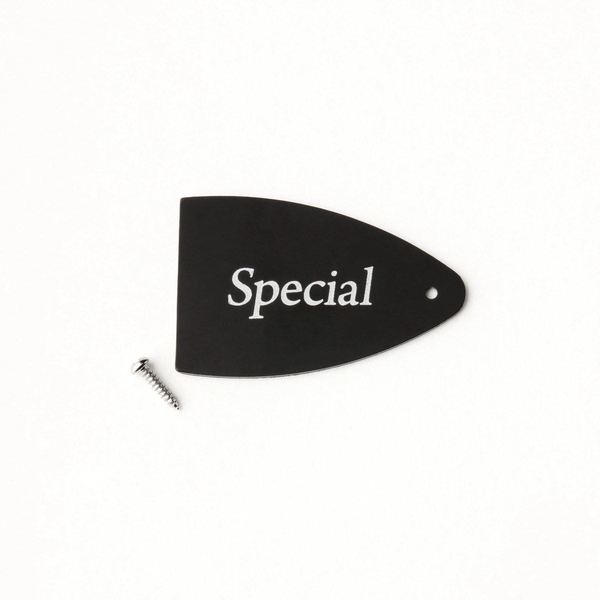 Paul Reed Smith (PRS) / SE Truss Rod Cover - Special - ポール