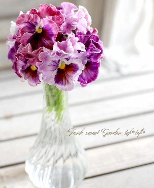 フリルパンジー フリフリ 『ラベンダー』 | すべての商品 | | Junk