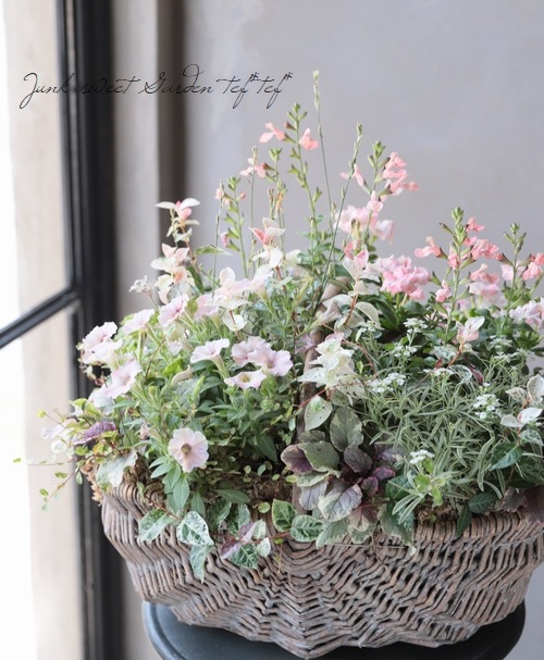 TEFNIQUE-寄せ植え 2019 * no.31 * 『ピンクのlovelyバスケット