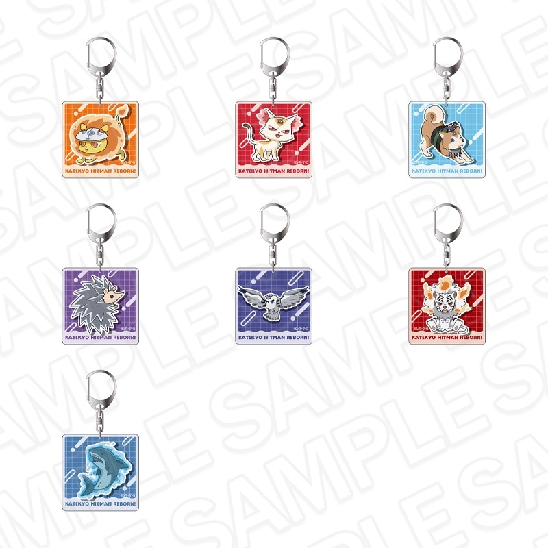 家庭教師ヒットマンREBORN! アクリルキーホルダー(ブラインド) 匣