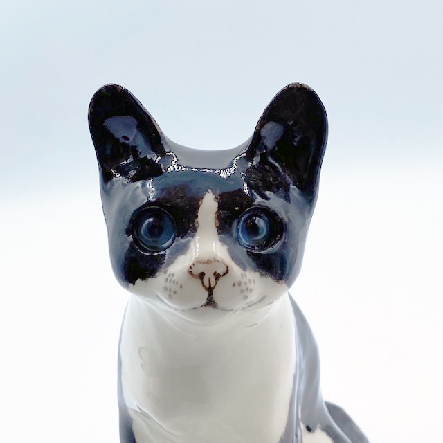 ウィンスタンレイキャット ブルーアイの黒白ハチワレ サイズ2