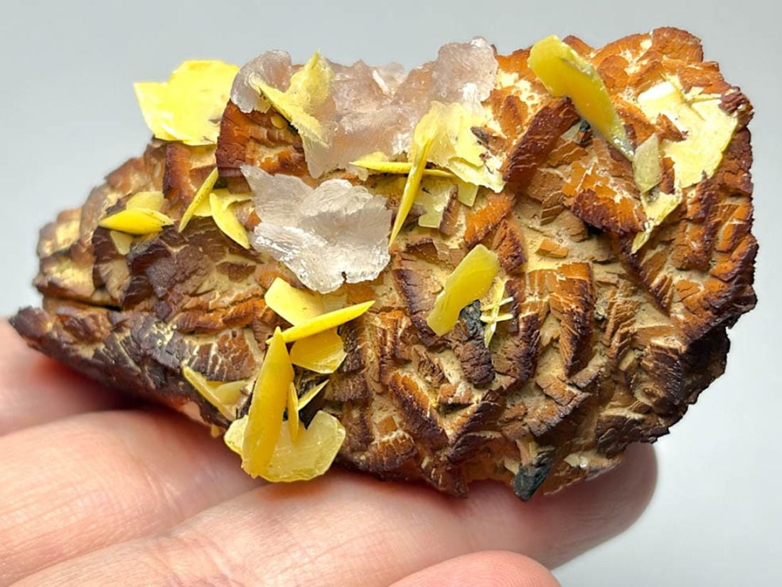 モロッコ・トゥイシット鉱山産 ウルフェナイト ( モリブデン鉛鉱