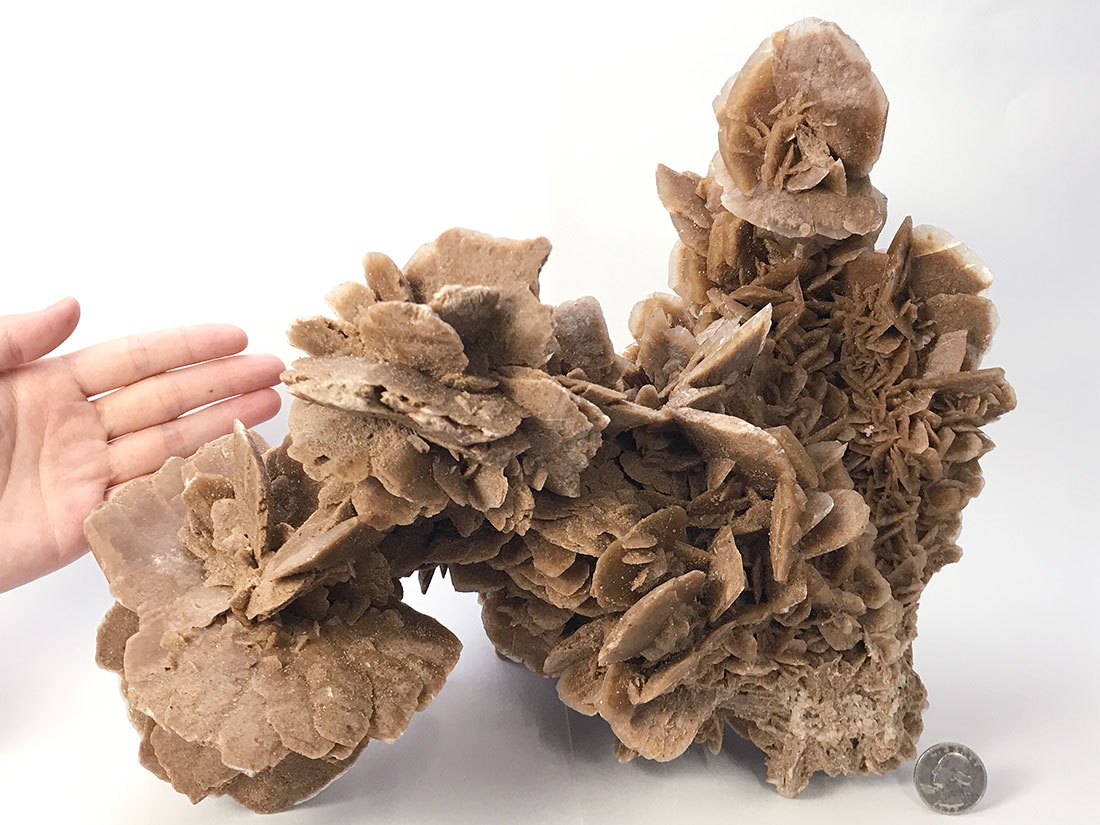 モロッコ産デザートローズ(砂漠のバラ)/Desert Rose(Barite)