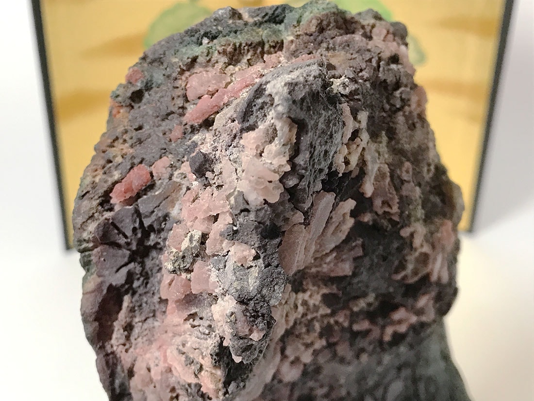 菊花石 【サバ菊】(木製台座付き)