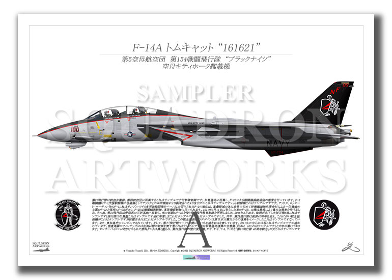 F-14A トムキャット VF-154 ブラックナイツ 2000 Showbird “161621