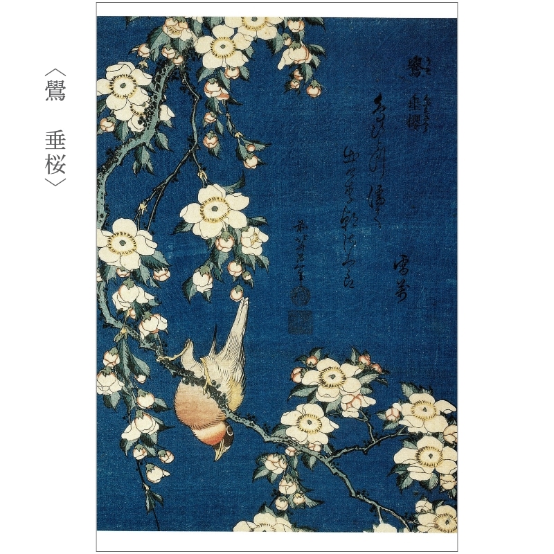 絵はがきセット〈葛飾北斎 花鳥画撰〉(10枚組)京都便利堂オンライン