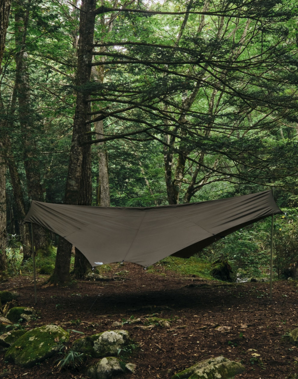 THE NORTH FACE / NEBULA TARP 6/ネブラタープ6 Nebula Tarp 6 | Online Camp Store | THE NORTH FACE CAMP