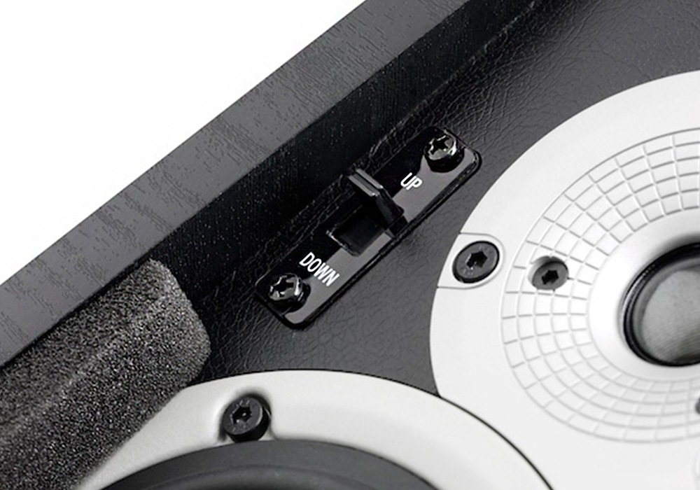 DALI - ALTECO C1/B/ブラックアッシュ（ペア）マルチパーパス