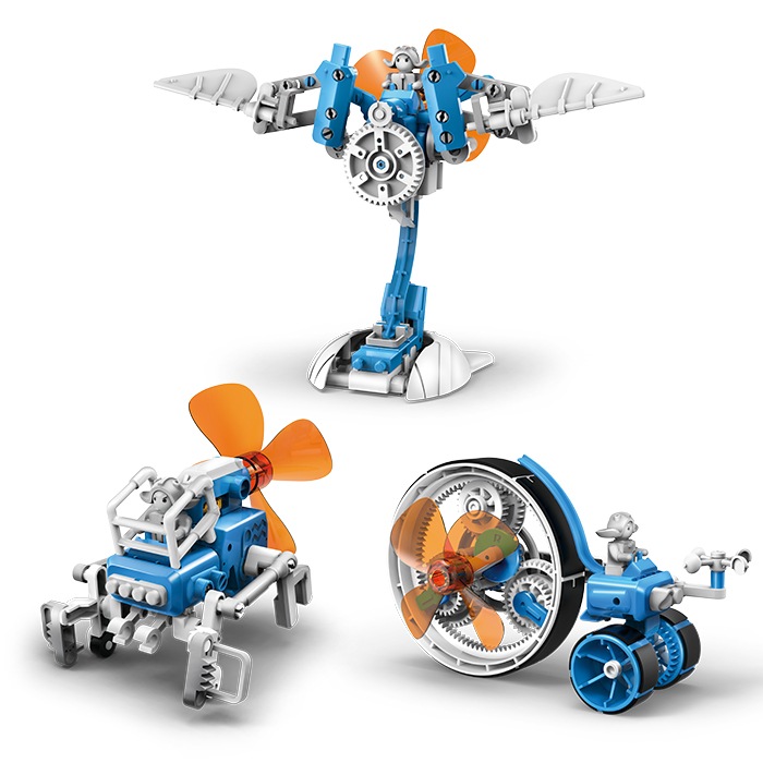 ウィンディー（JS-7907）