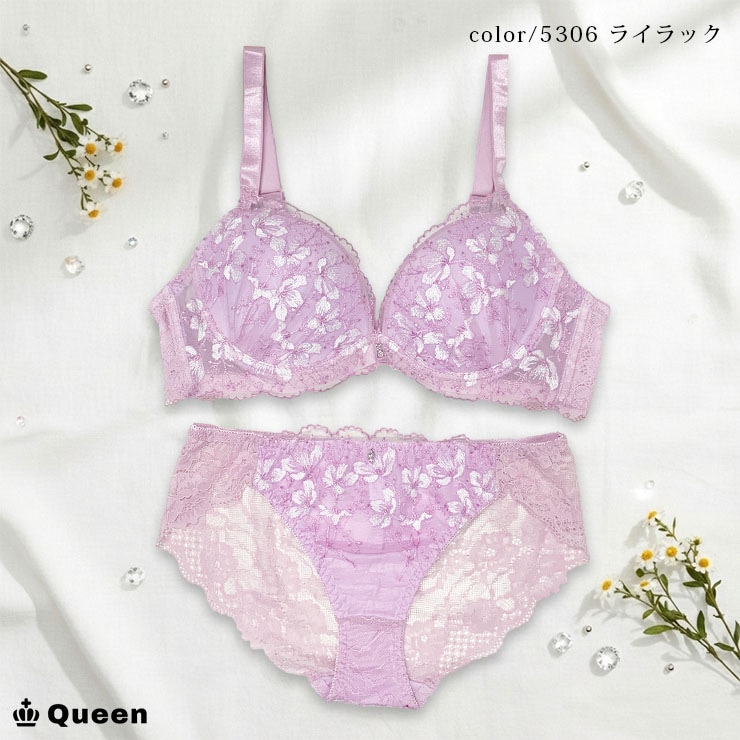 脇高ブラショーツセット D85 D90 D95 D100 (j5a-d)