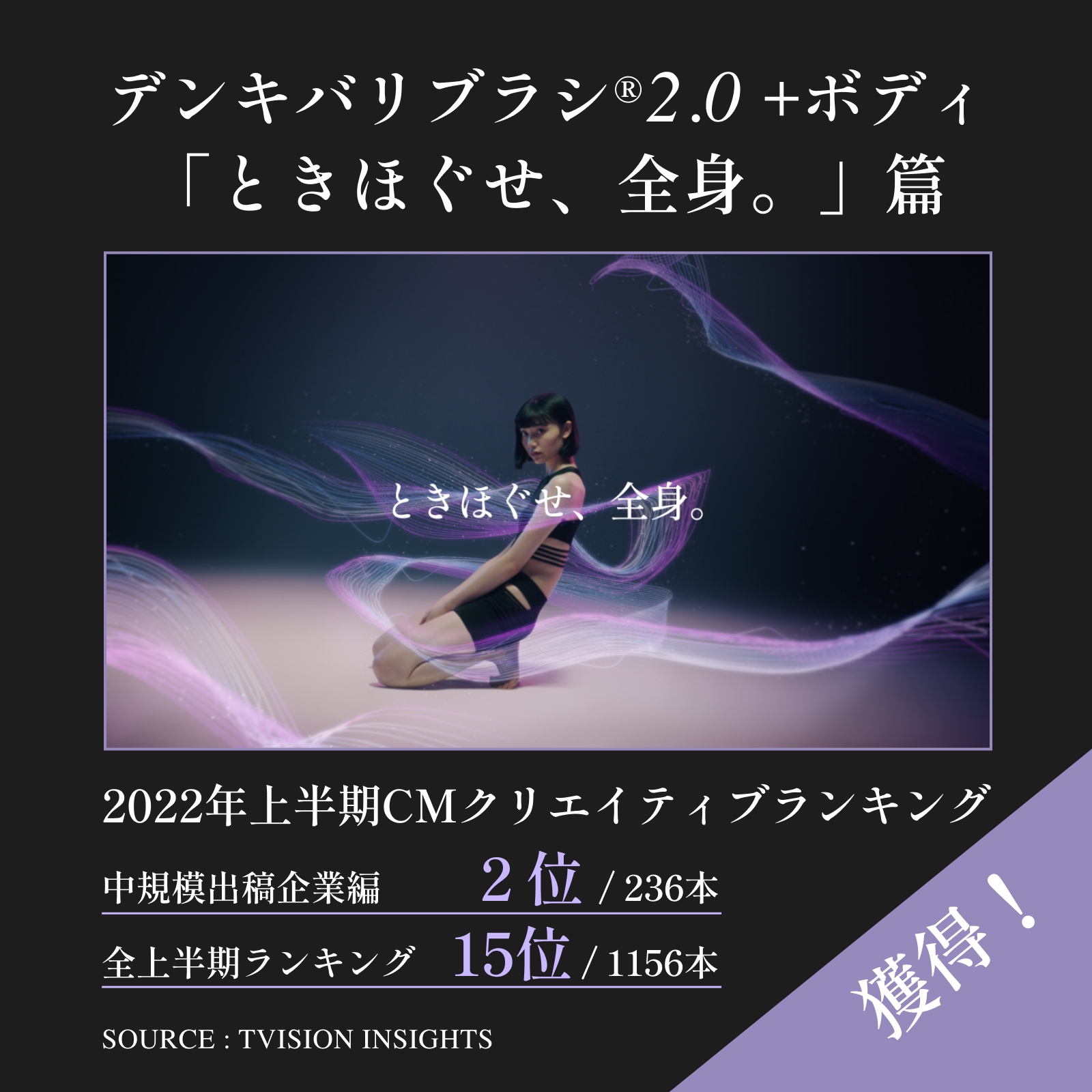 デンキバリブラシ(R)2.0専用ケースセット | ELECTRON ONLINE SHOP