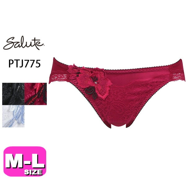 30%OFF【SALE/セール】ワコール wacoal サルート salute BTJ475 75