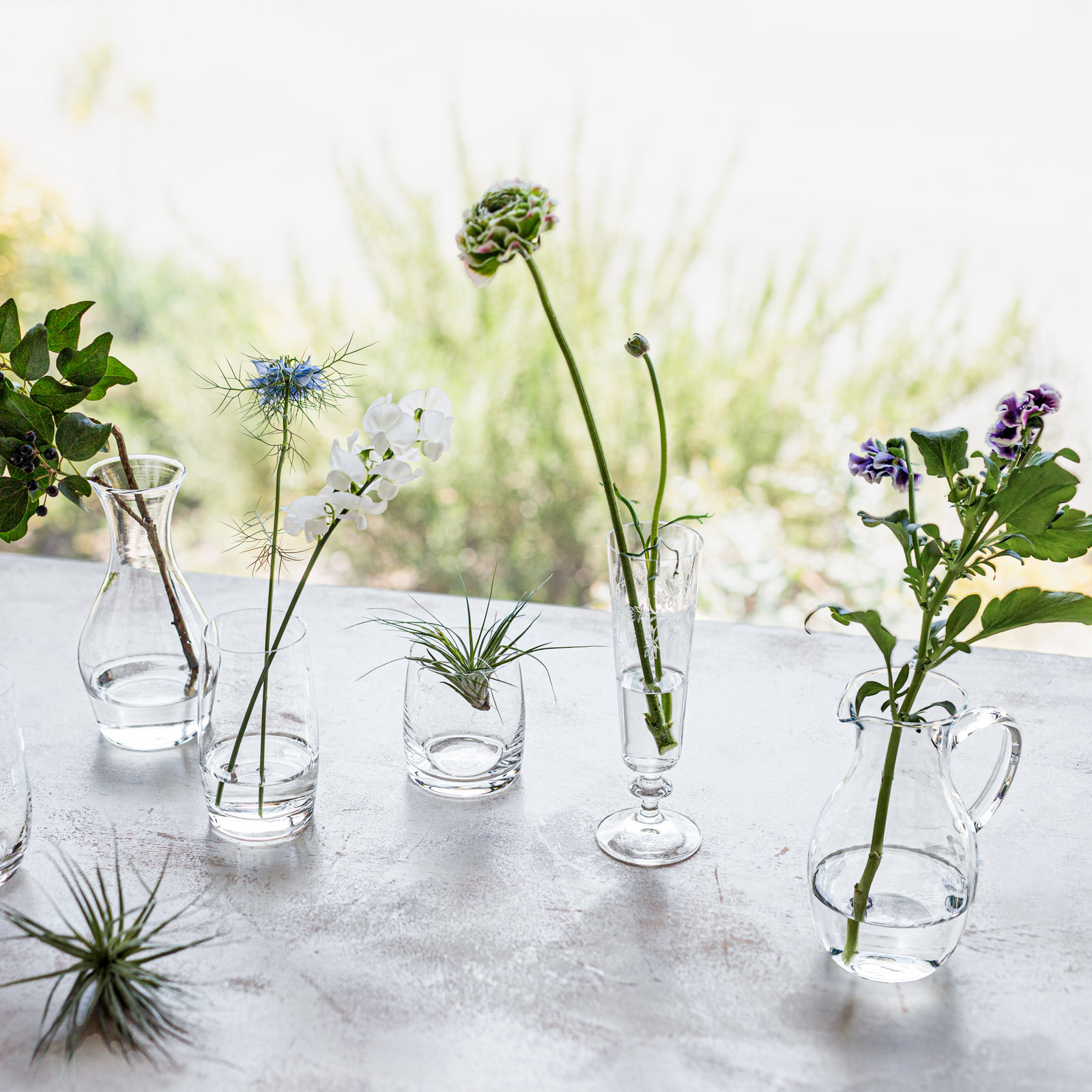 BOHEMIA Cristal _ ロンド / カラフ(500ml)