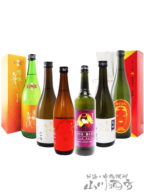 東洋美人 ( とうようびじん ) 飲み比べ 720ml 6本セット / 山口県 澄川