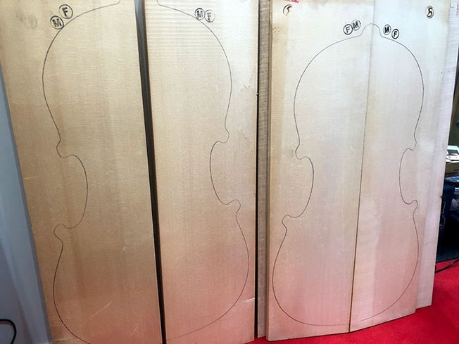 チェロ スプルース／プレーン 表板材 | バイオリン・ビオラ・チェロ用