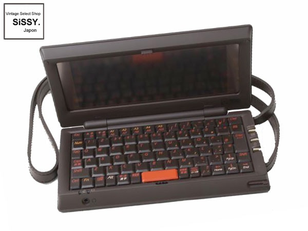 ルイ・ヴィトン □LOUIS VUITTON□ ダミエ セリュックス クラヴィエ PC