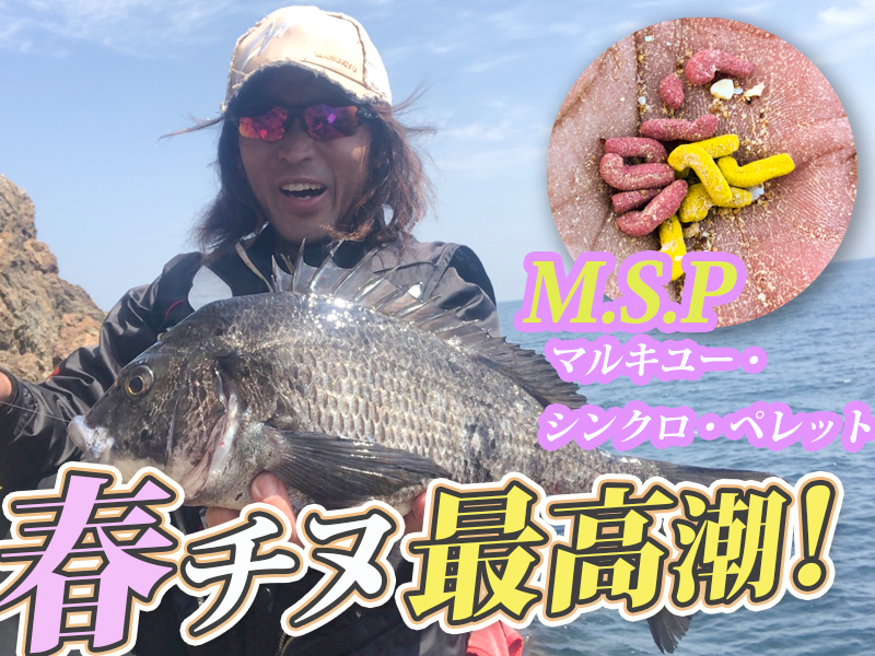 チヌの宝庫で腕試し、マキエのドカ打ちで良型ゲット！〜大分県臼杵市
