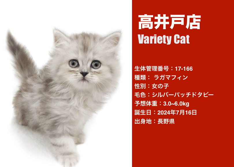 b8b080a65b26632f16fcaf57ff335f