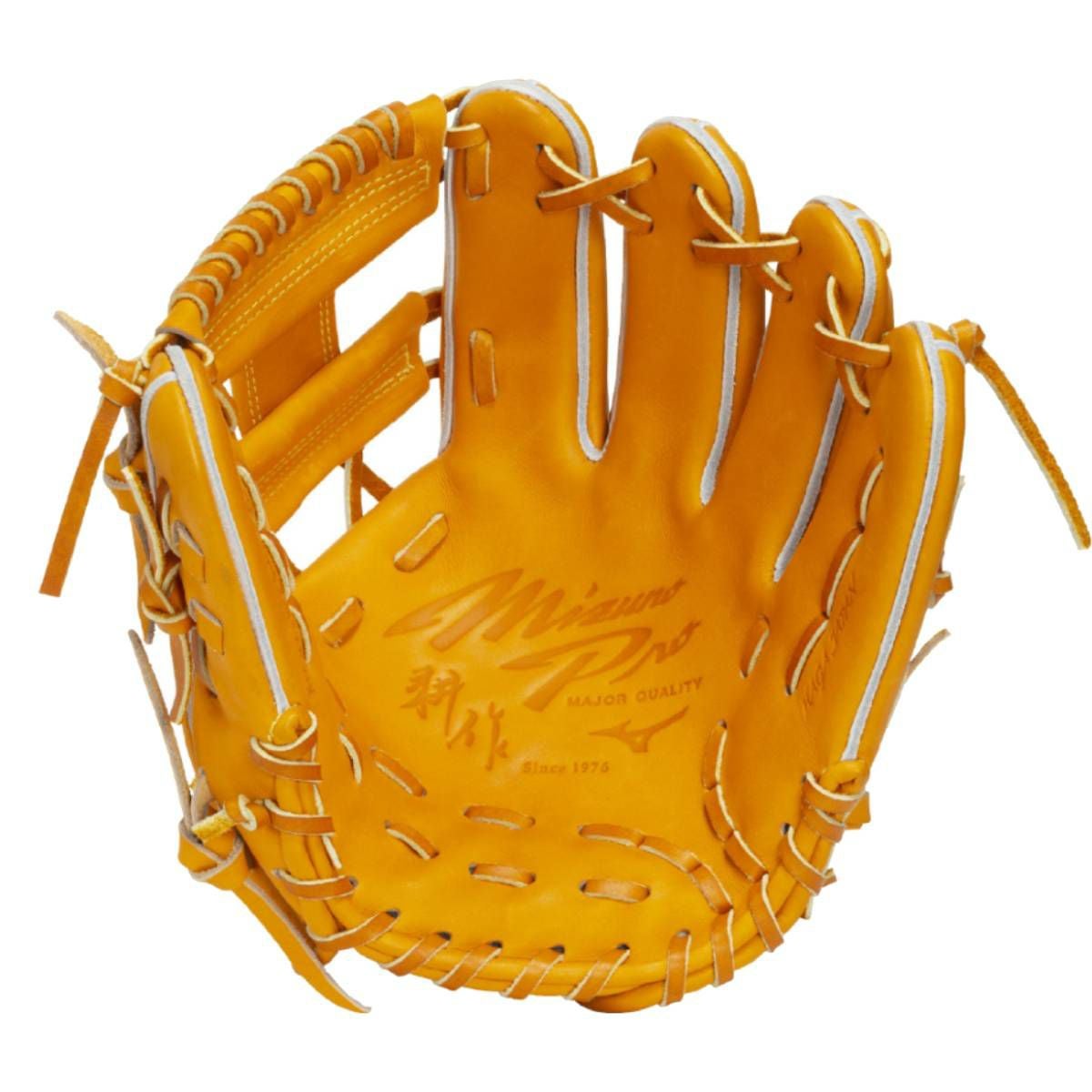 ミズノ MIZUNO 専用グラブ袋付き MizunoPro 岸本マイスター監修特別