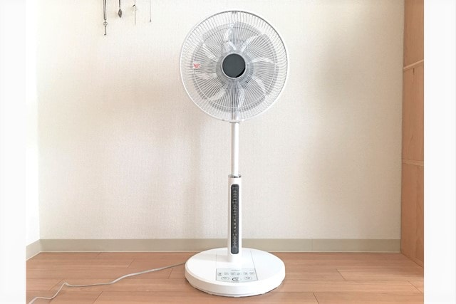 fan1-min.jpg