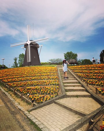 めっちゃきれい - Picture of Flower Expo Memorial Park Tsurumi