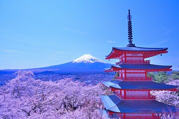 マウント富士山 - Viator (ビアター)