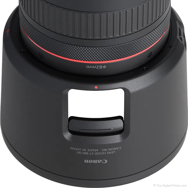 Canon RF 70-200mm F2.8 L IS USM Z Lens Review