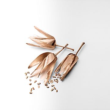 -69330541_1032182_SV_5_M.jpg?&