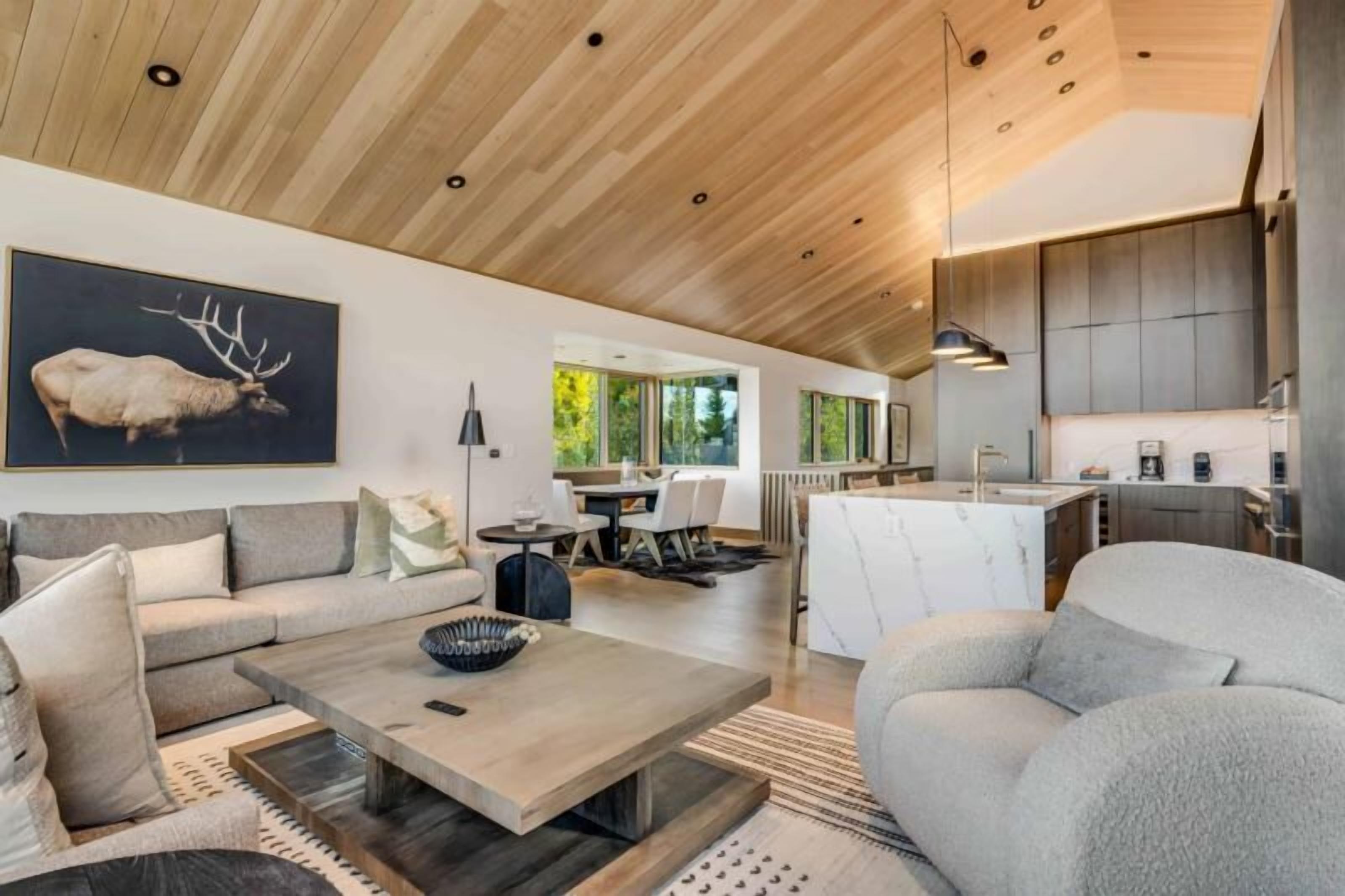 Havens 1 - Situated optimally on the Fanny Hill ski run - Snowmass