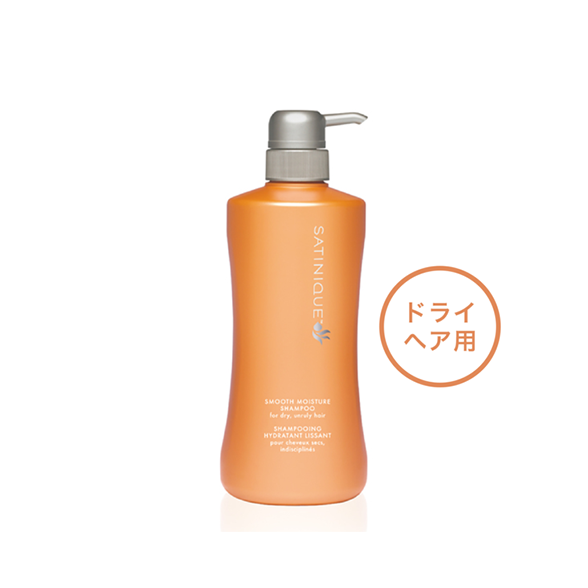 アムウェイ サテニーク ボディシャンプー 1000ml 1本 250ml 2本