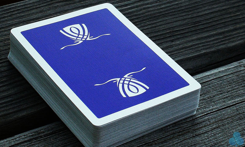 Bee Wynn • Buy playing cards & magic props