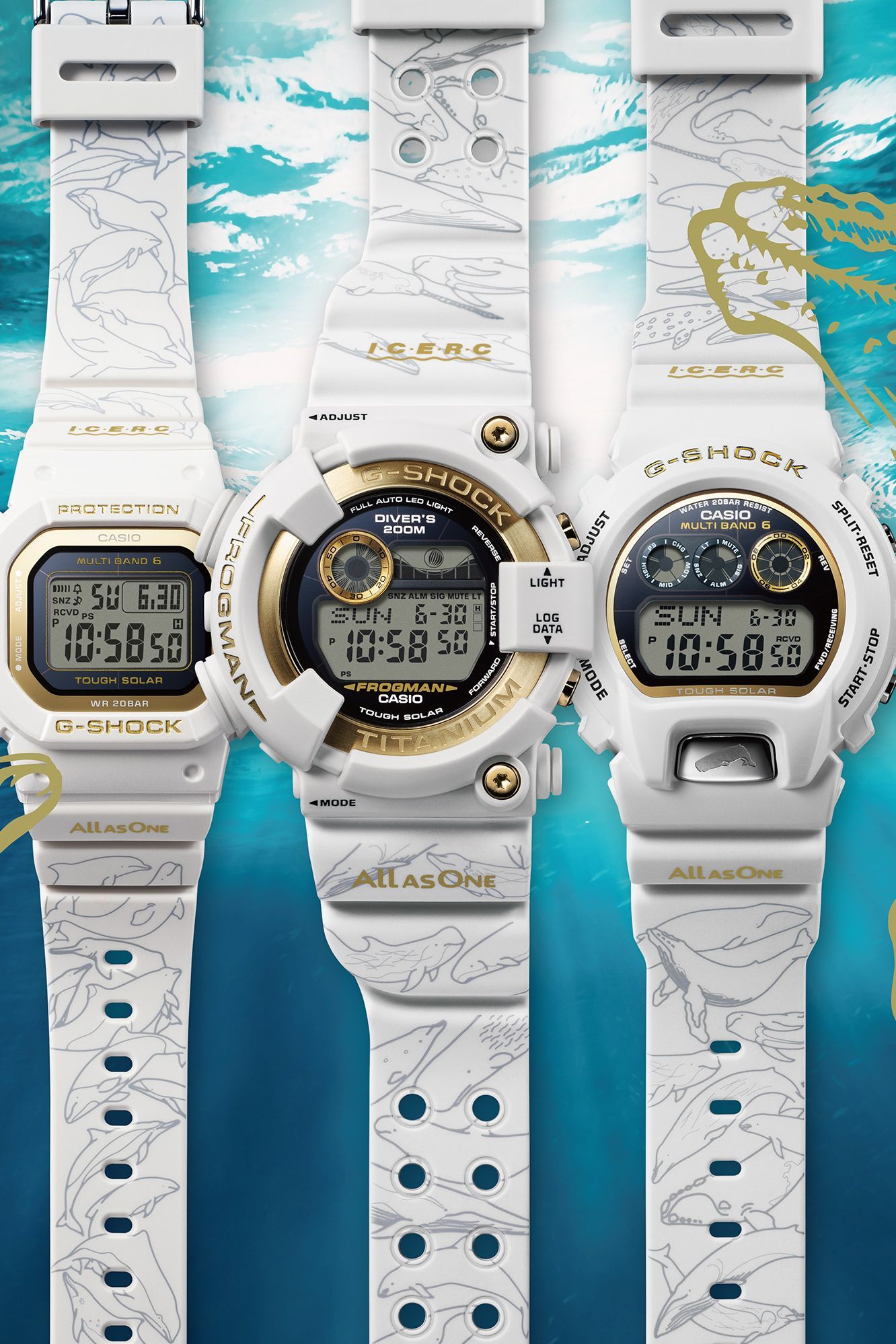 G-SHOCKの“イルクジ”が30周年！ 2024年モデルは、30頭のイルカとクジラ