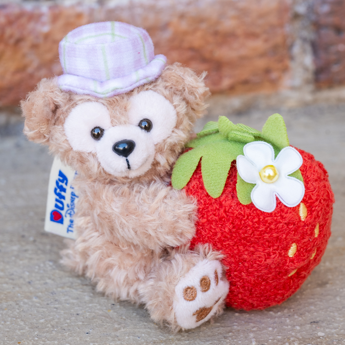 いちごを抱えた姿もかわいい！