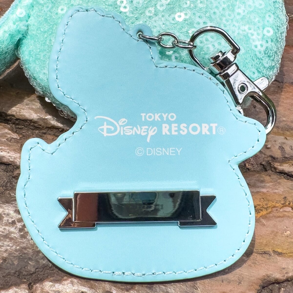 アヒルのうきわに乗って浮かぶチップ＆デール！東京ディズニーランド