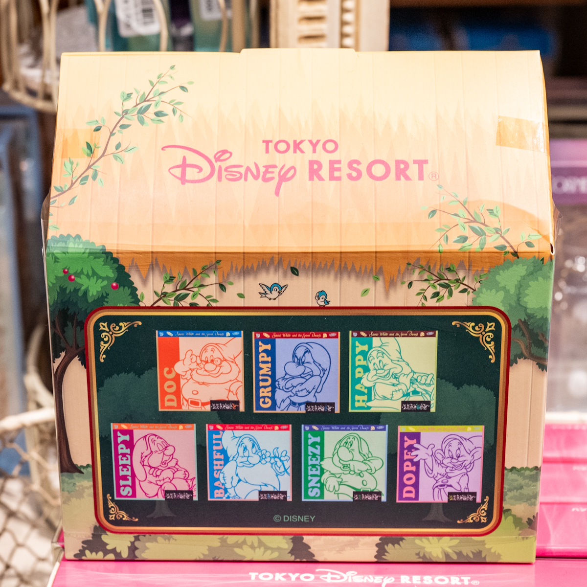 おうち形のパッケージもかわいい！東京ディズニーランド『白雪姫』7人