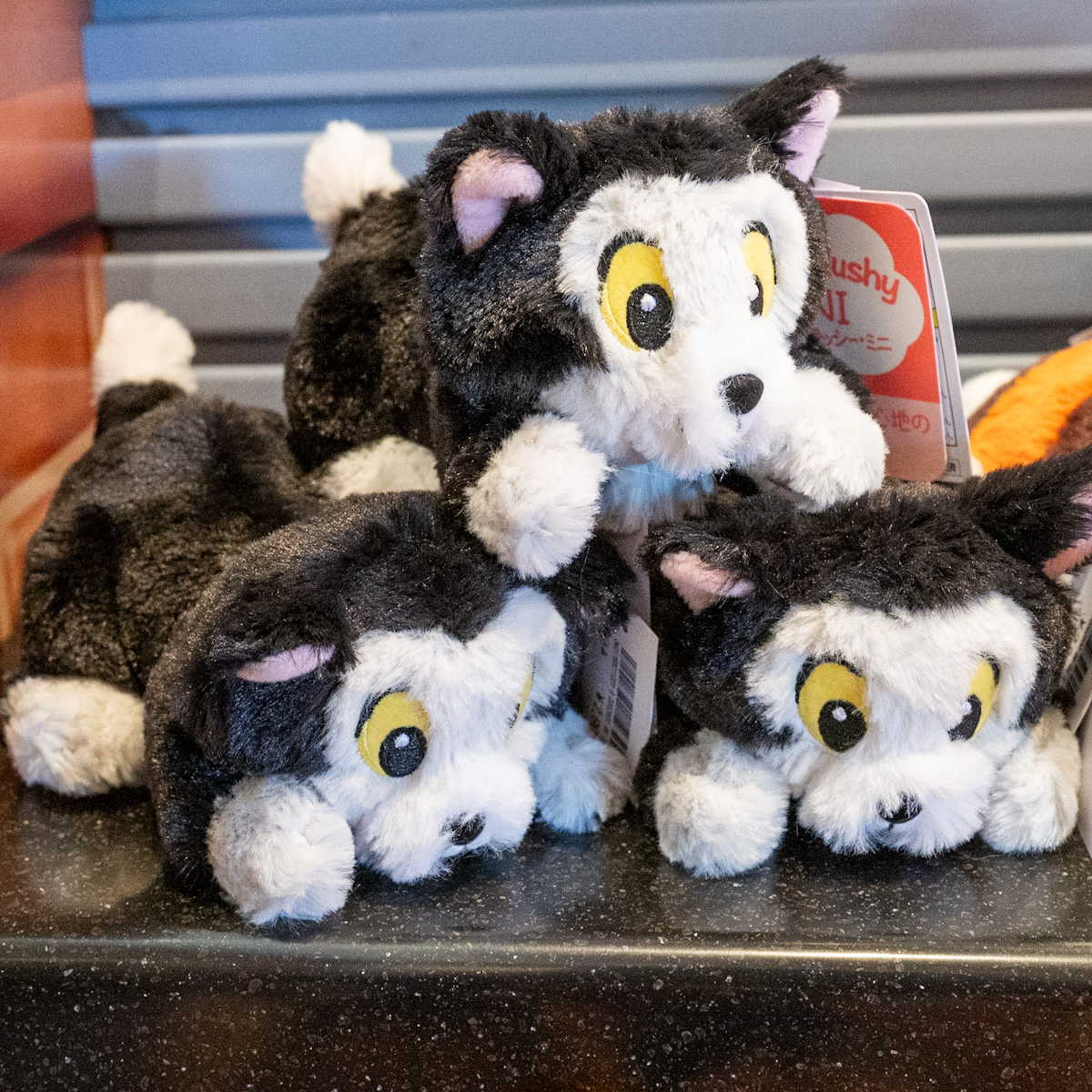 ふせたポーズもかわいい！東京ディズニーランド「フィガロ