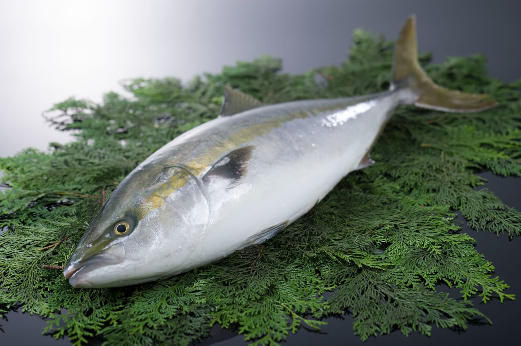 商品 – 三重魚連