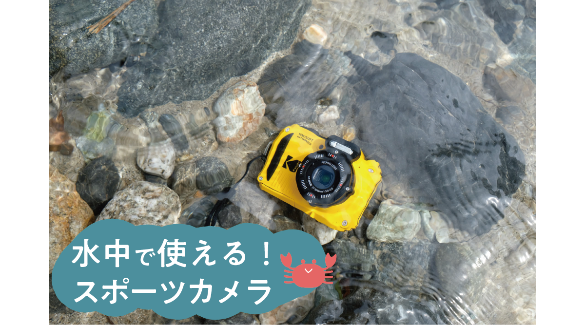 コダック WPZ2で水中撮影してみた🐠作例・設定を解説✨ | ビビッと