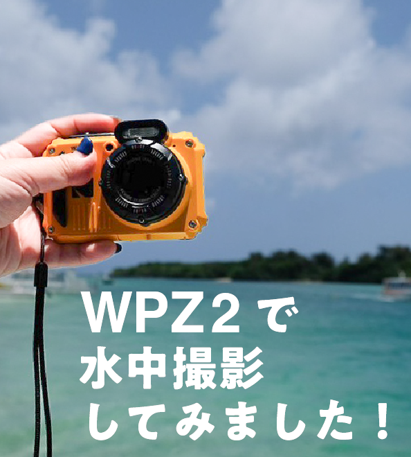 コダック WPZ2で水中撮影してみた🐠作例・設定を解説✨ | ビビッと