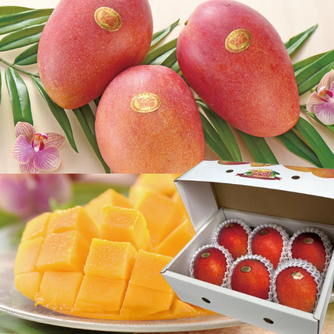 数量限定】2025贈答用アーウィンマンゴー2kg 化粧箱入り（送料込