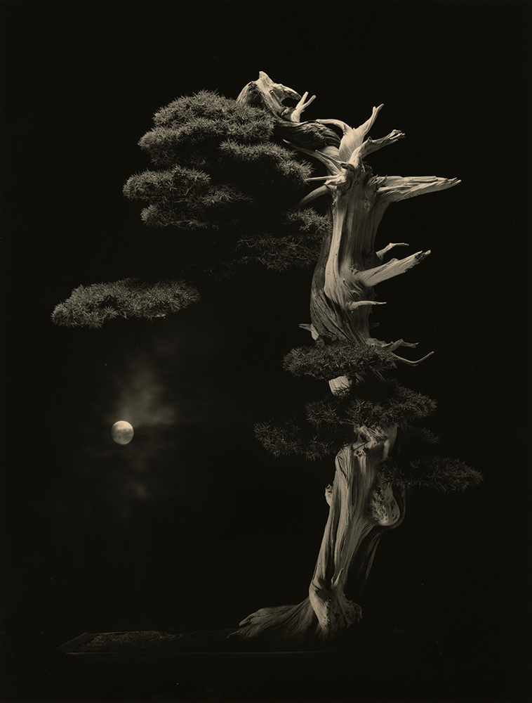 山本 昌男 ⁄ YAMAMOTO Masao - MIZUMA ART GALLERY